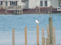 dscn0965