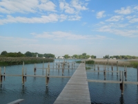 dscn0974